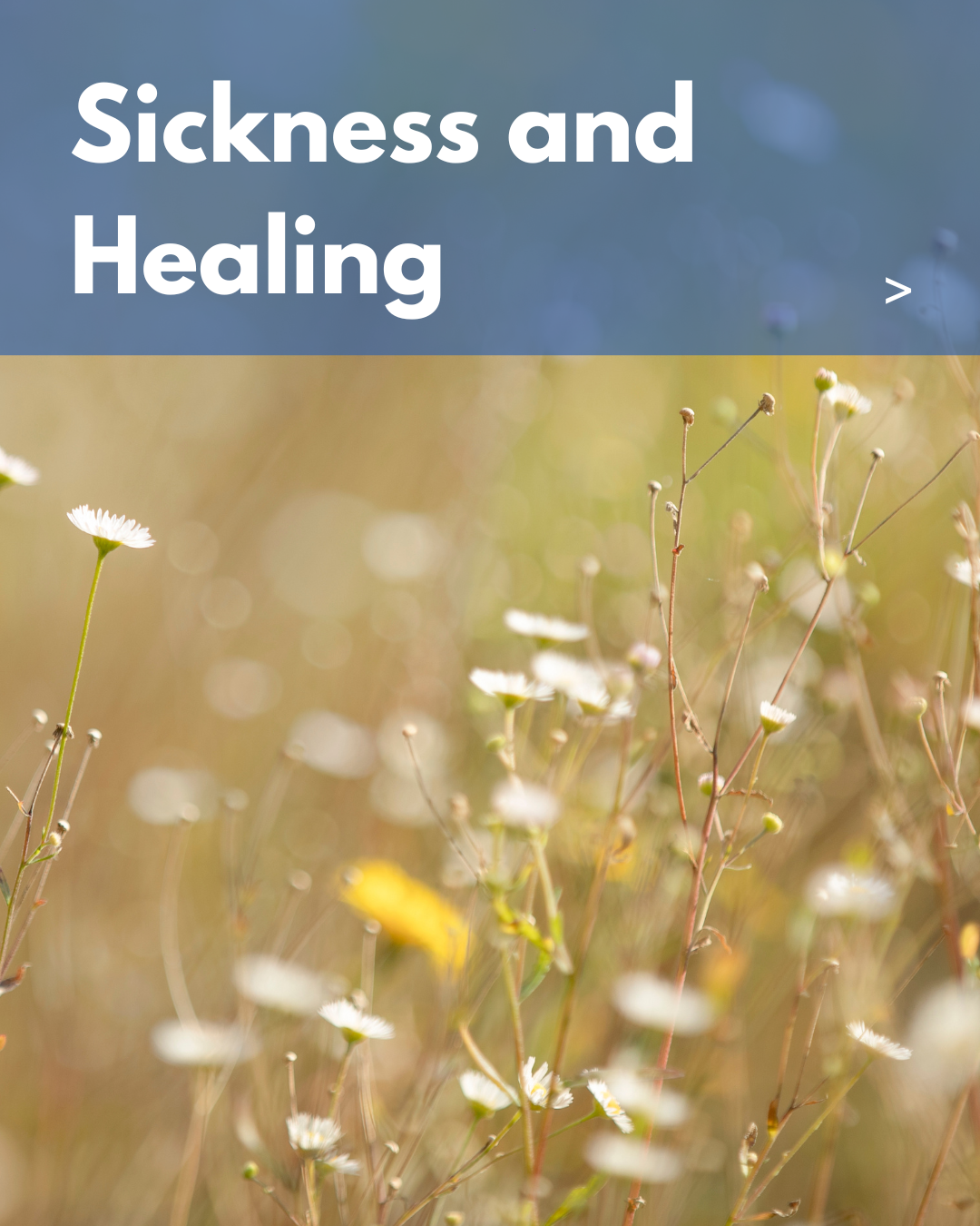 sickness and healing